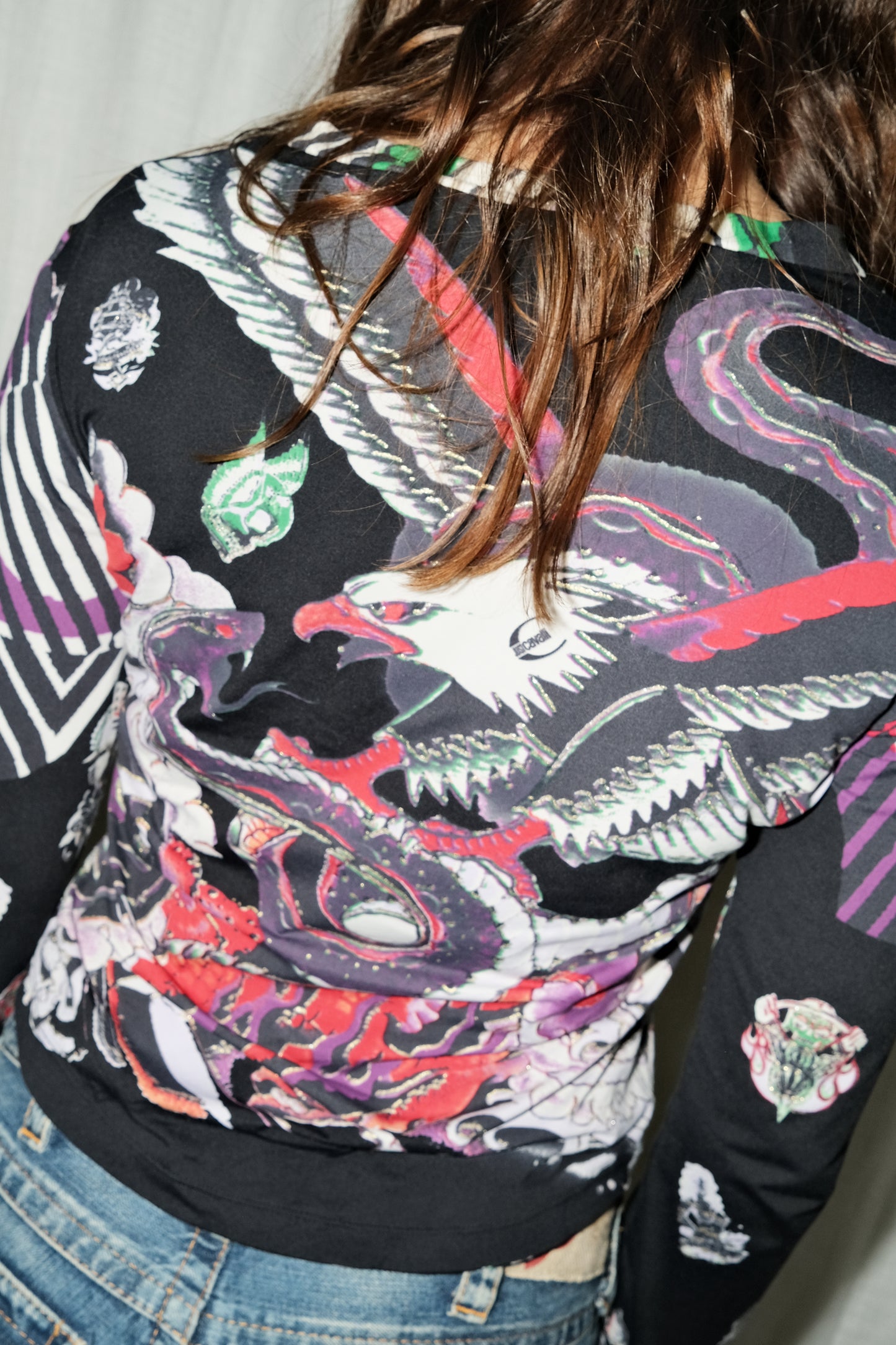 Roberto Cavalli Long Sleeve Top (Multi)